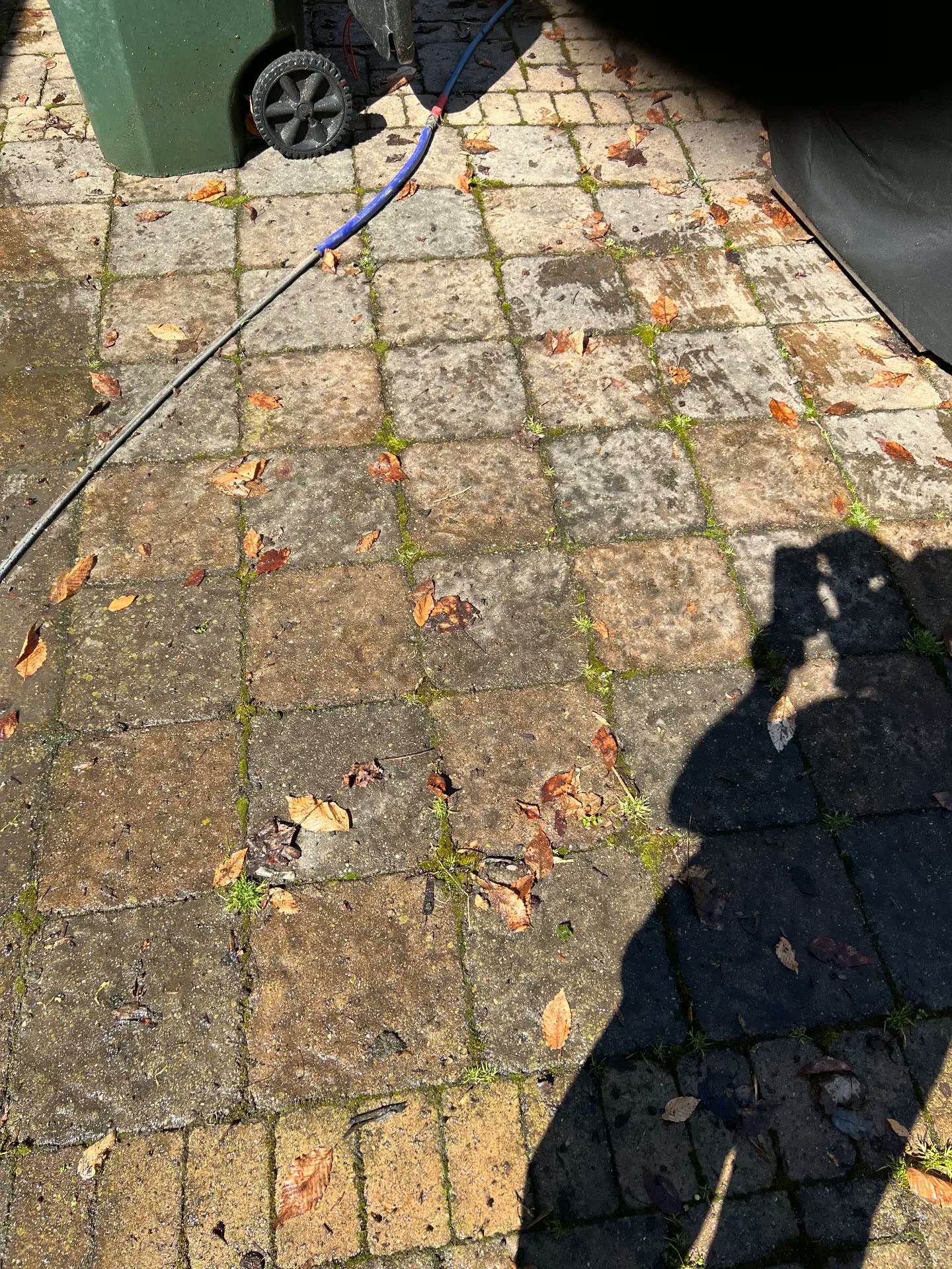 Paver patio covered in moss and leaf stain before washing