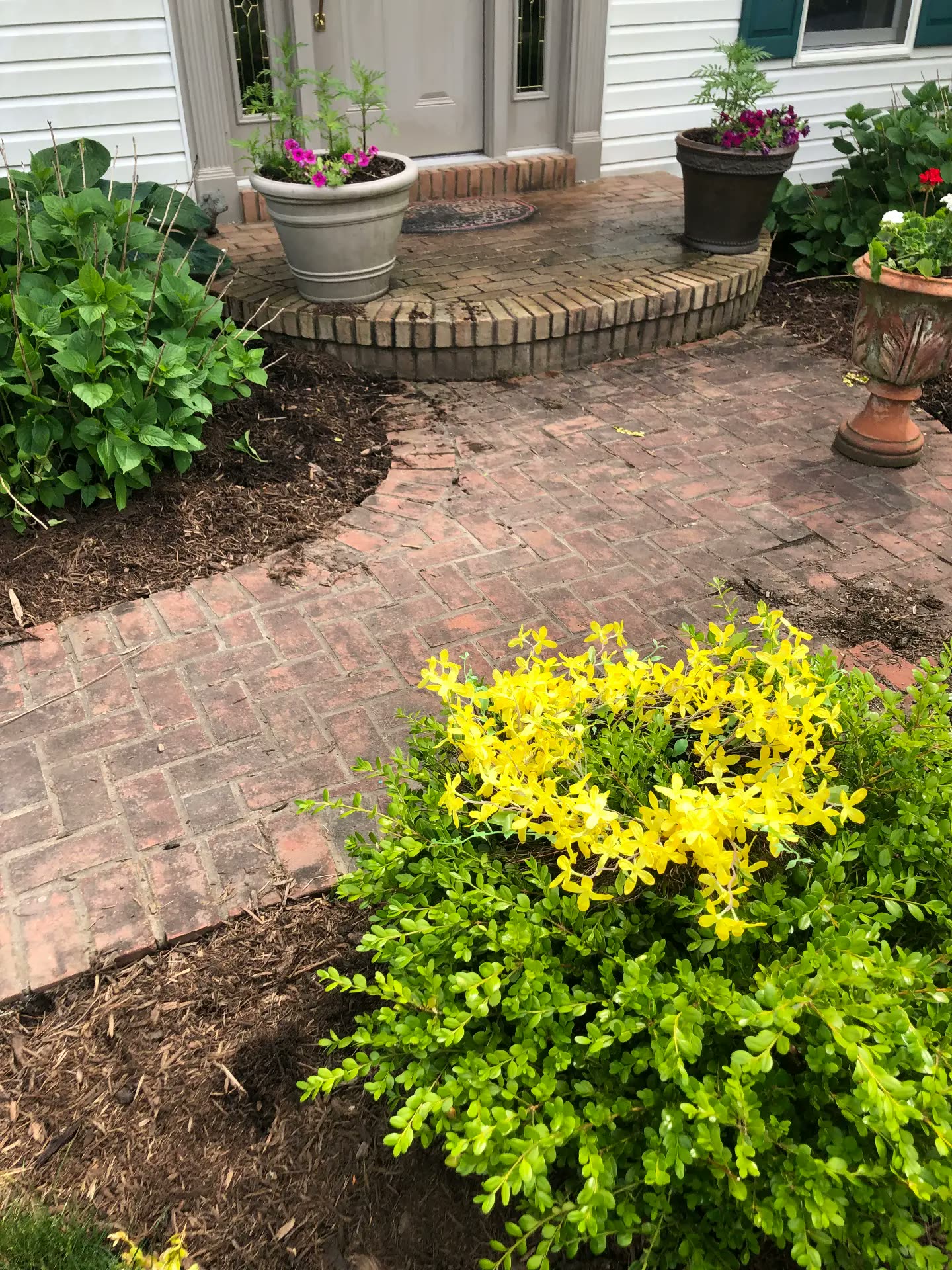 Brick front patio and walkway before cleaning