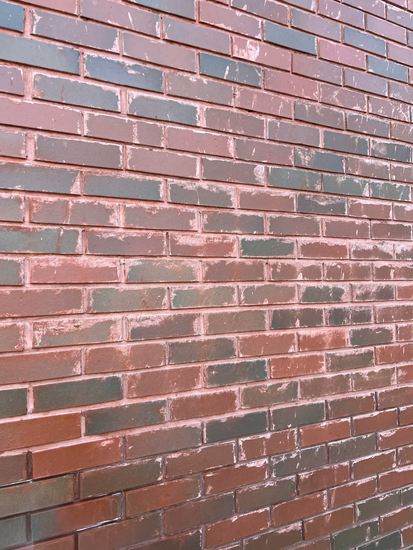 Brick wall with chalky white staining before cleaning