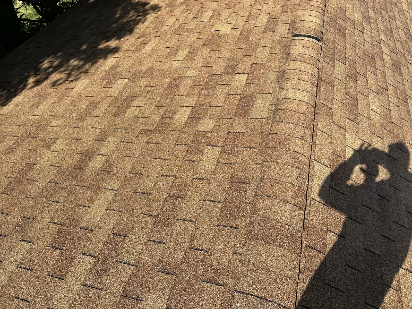 Asphalt shingle roof after cleaning