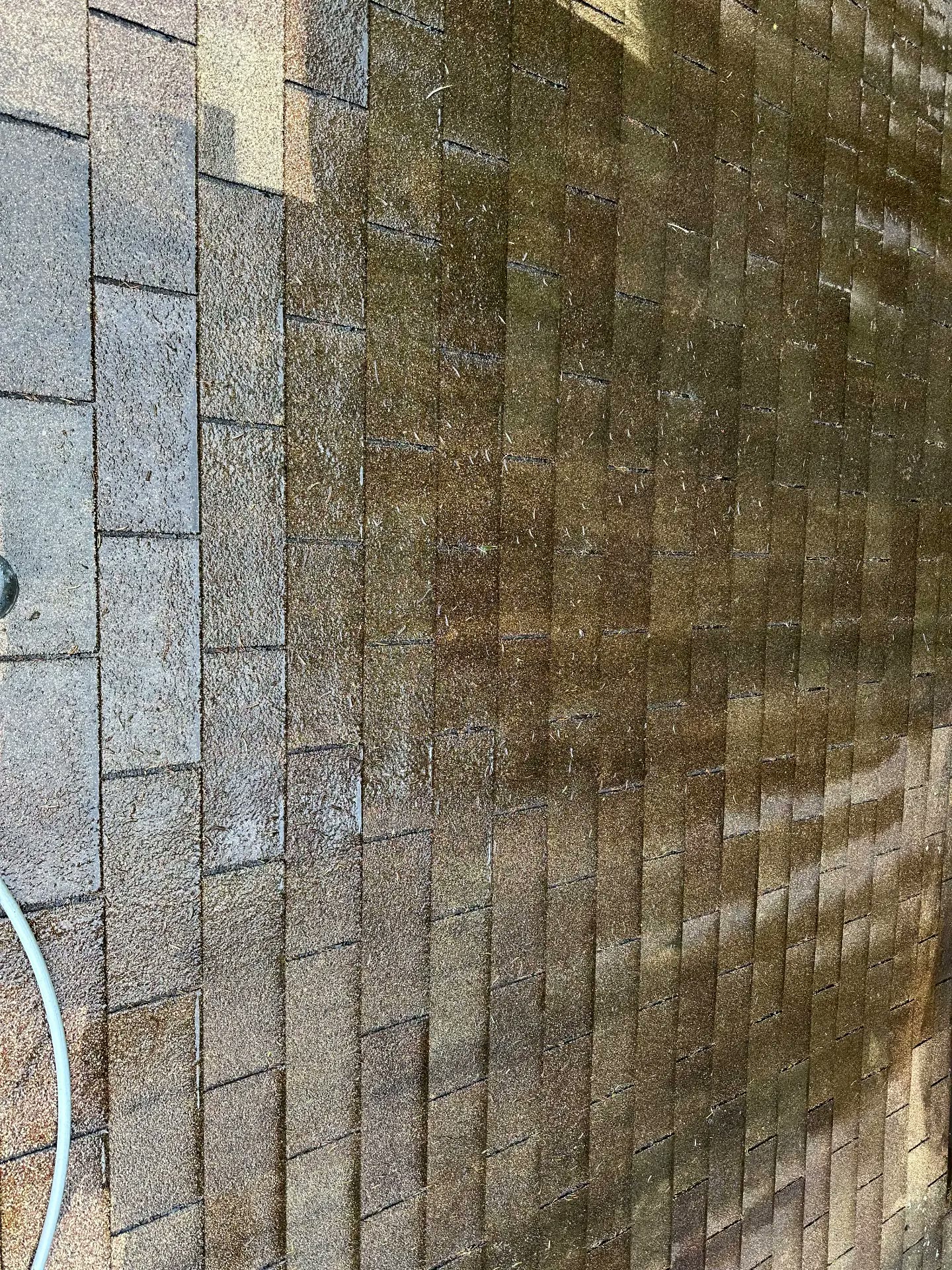 Dirty asphalt shingle roof mid-clean showing the difference