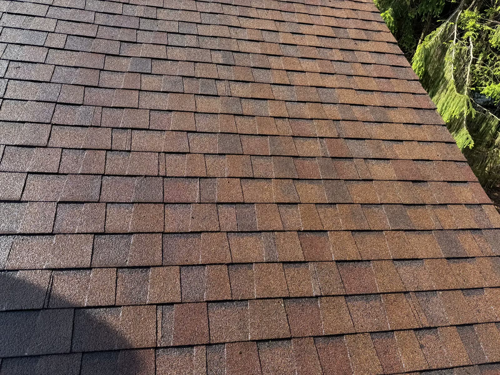 Same shingle roof clean after roof washing