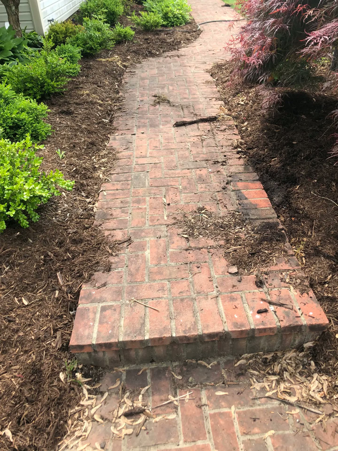Brick walkway and entry green with moss before cleaning