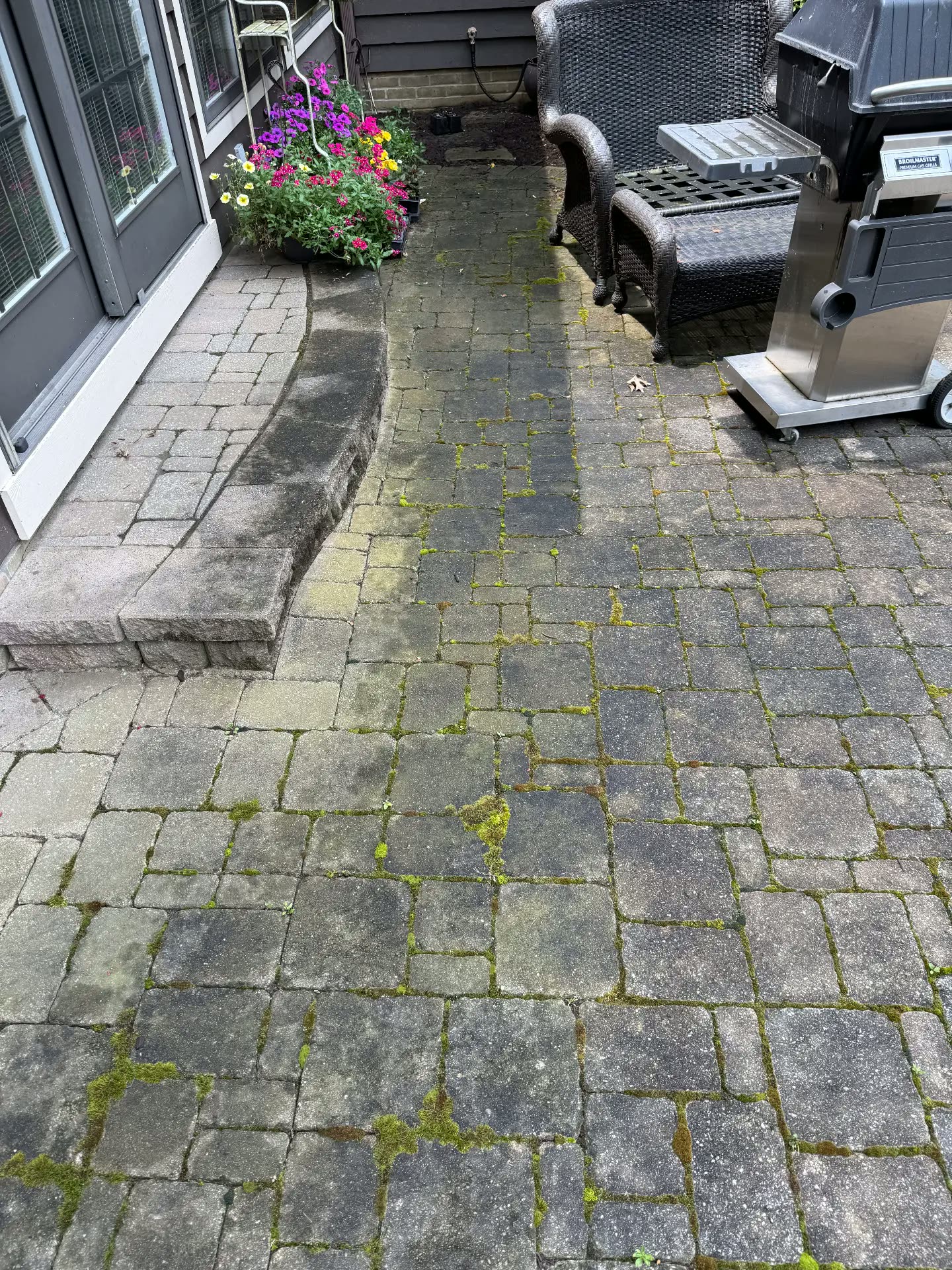 Stone patio buried in green moss before cleaning
